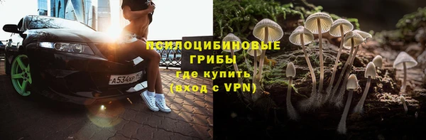 сатива Алексеевка